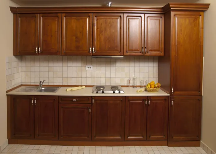 Iosefin מלון טימישוארה