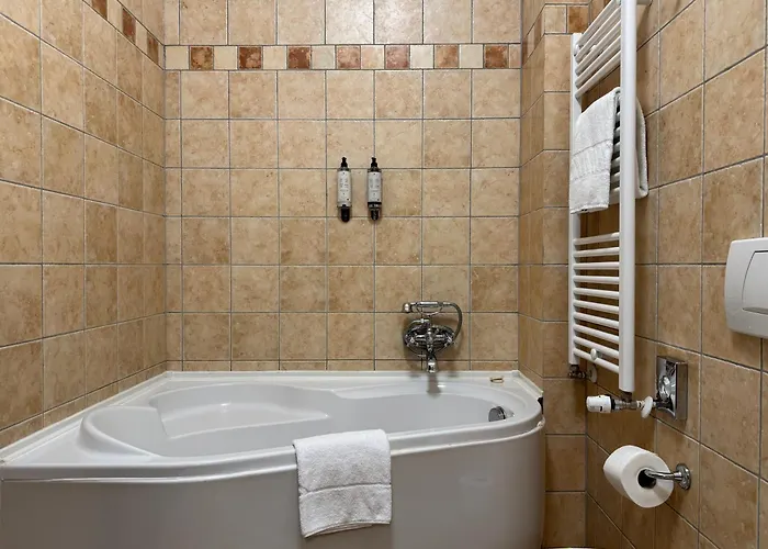 Iosefin فندق تيميشورا