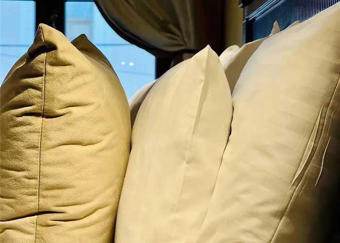 Iosefin Τιμισοάρα