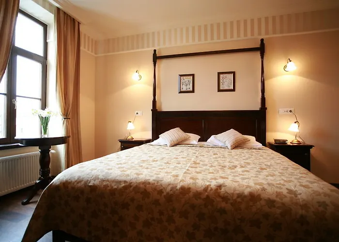 Hotell Iosefin Timişoara